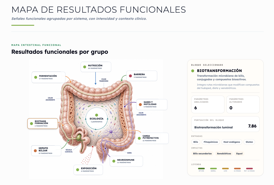 Así es el informe: mapa funcional